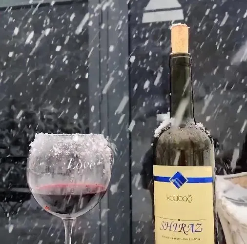 אכסניה Bls Bungalove *