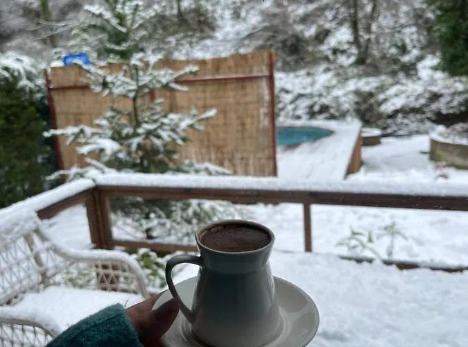 Bls Bungalove אכסניה ספנג'ה